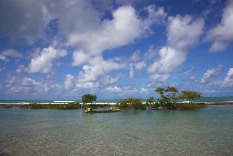 ilhota de coral-pe brasil.jpg